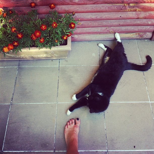 Aleksandra Strunin Feet