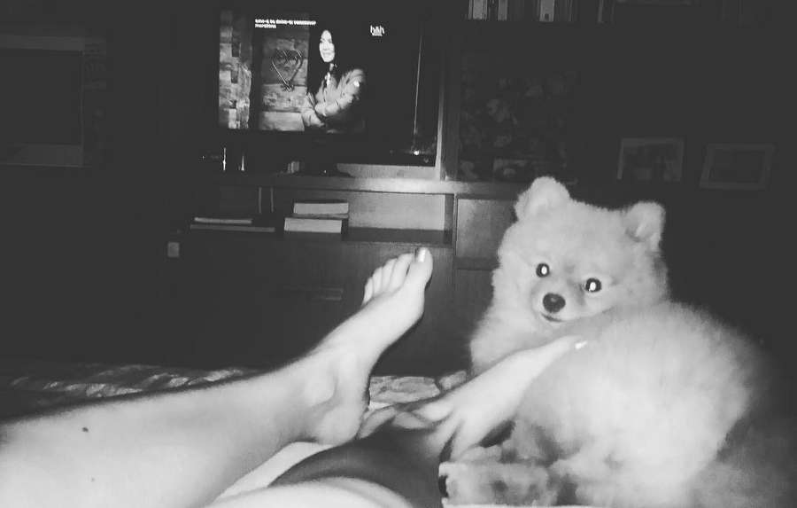 Beatriz Arantes Feet