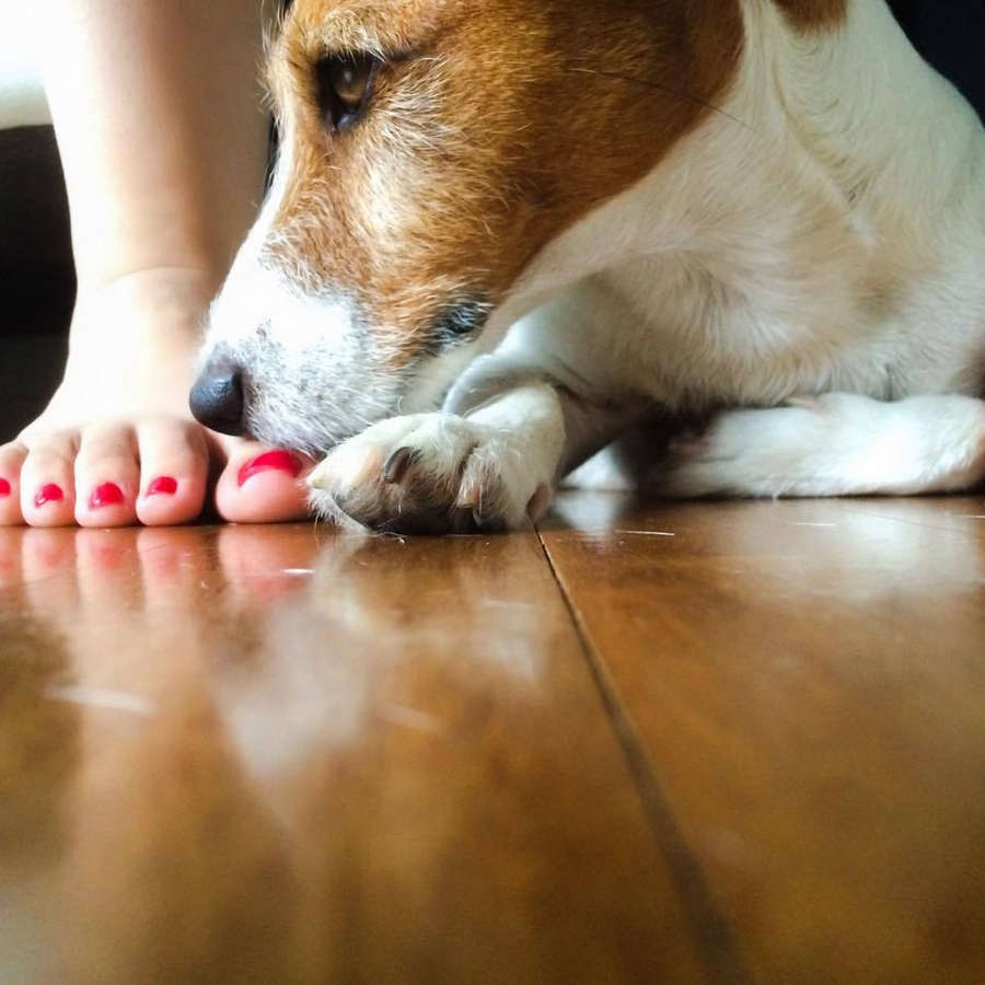 Carolina Kasting Feet