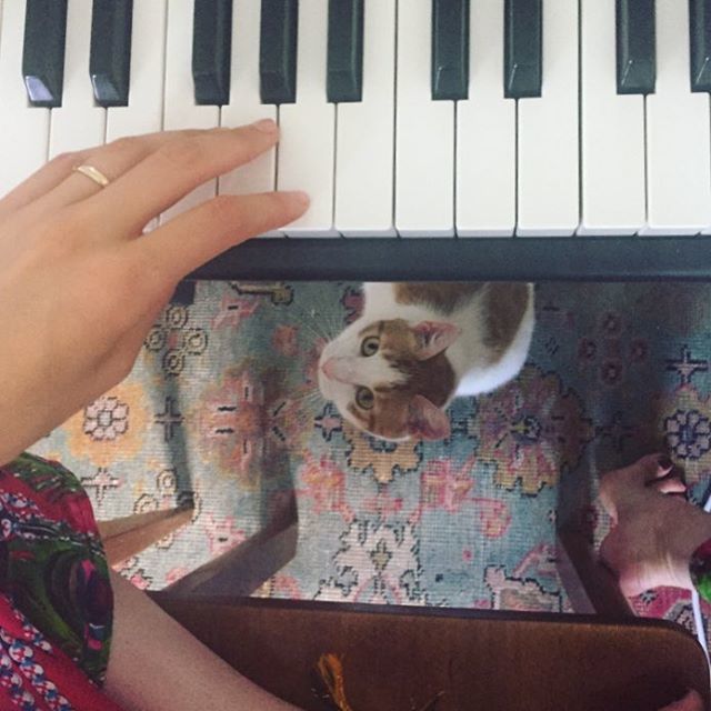 Caroline Polachek Feet