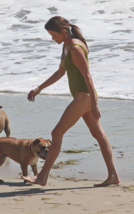 Janice Dickinson Feet