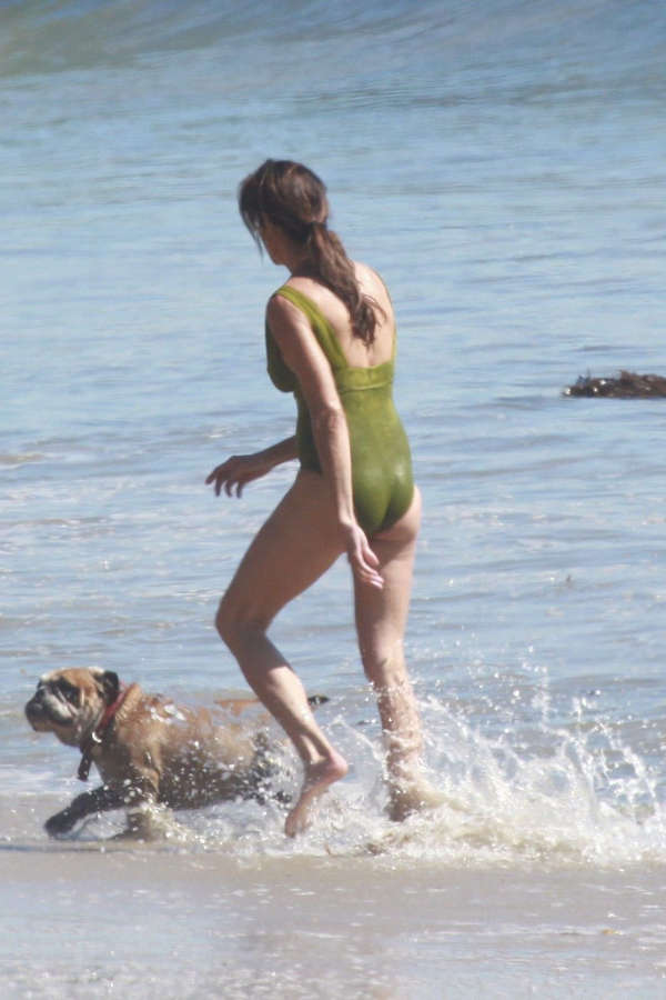 Janice Dickinson Feet