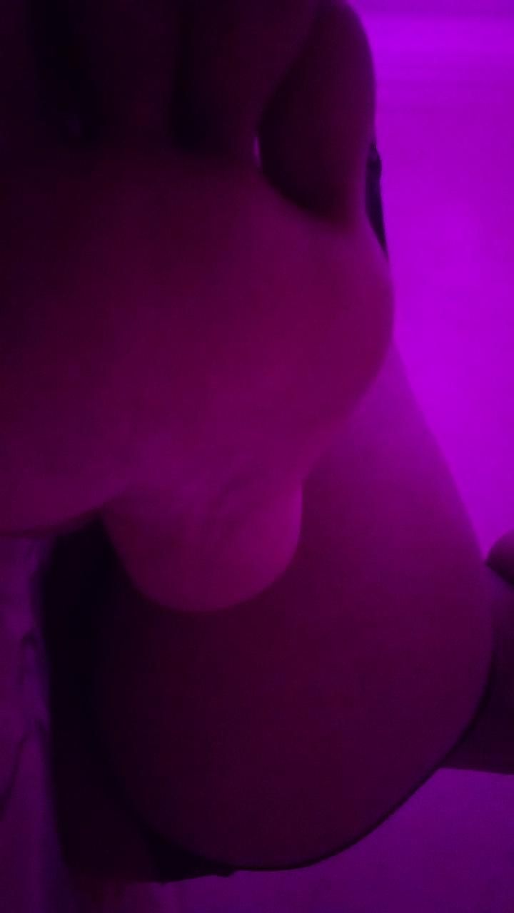 Jessifantasia N E O N