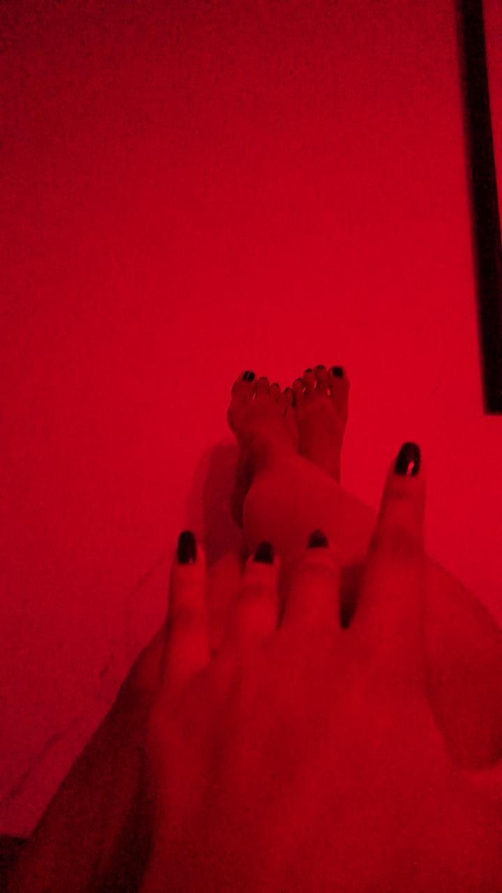 Jessifantasia N E O N