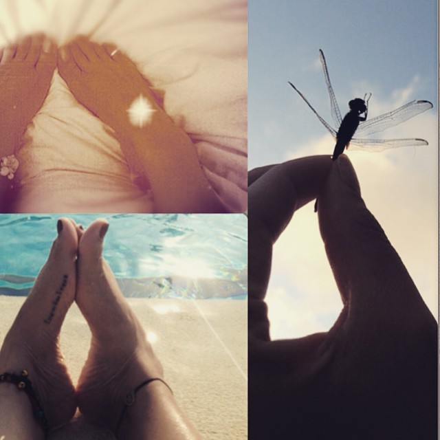 Katherine Porto Feet