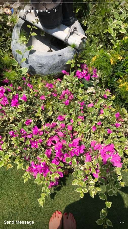 Katherine Porto Feet