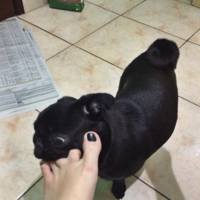 Kefera Buchmann Feet