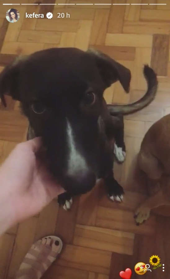 Kefera Buchmann Feet