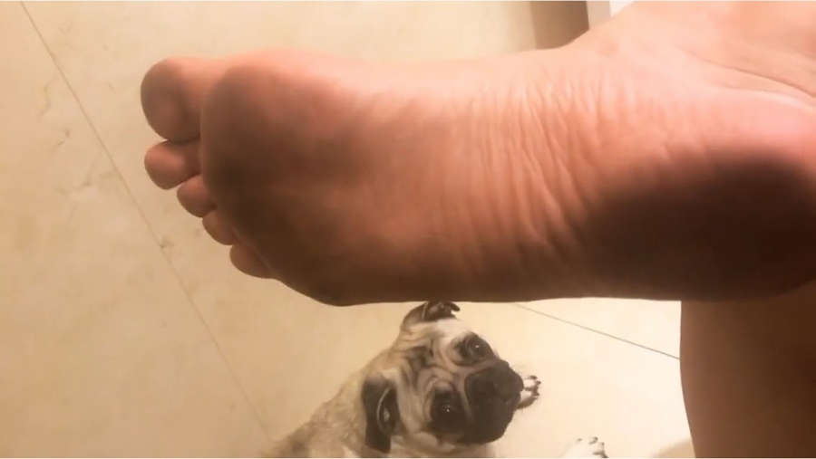 Kefera Buchmann Feet