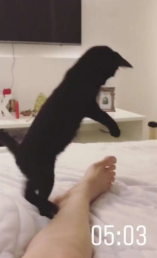 Kefera Buchmann Feet