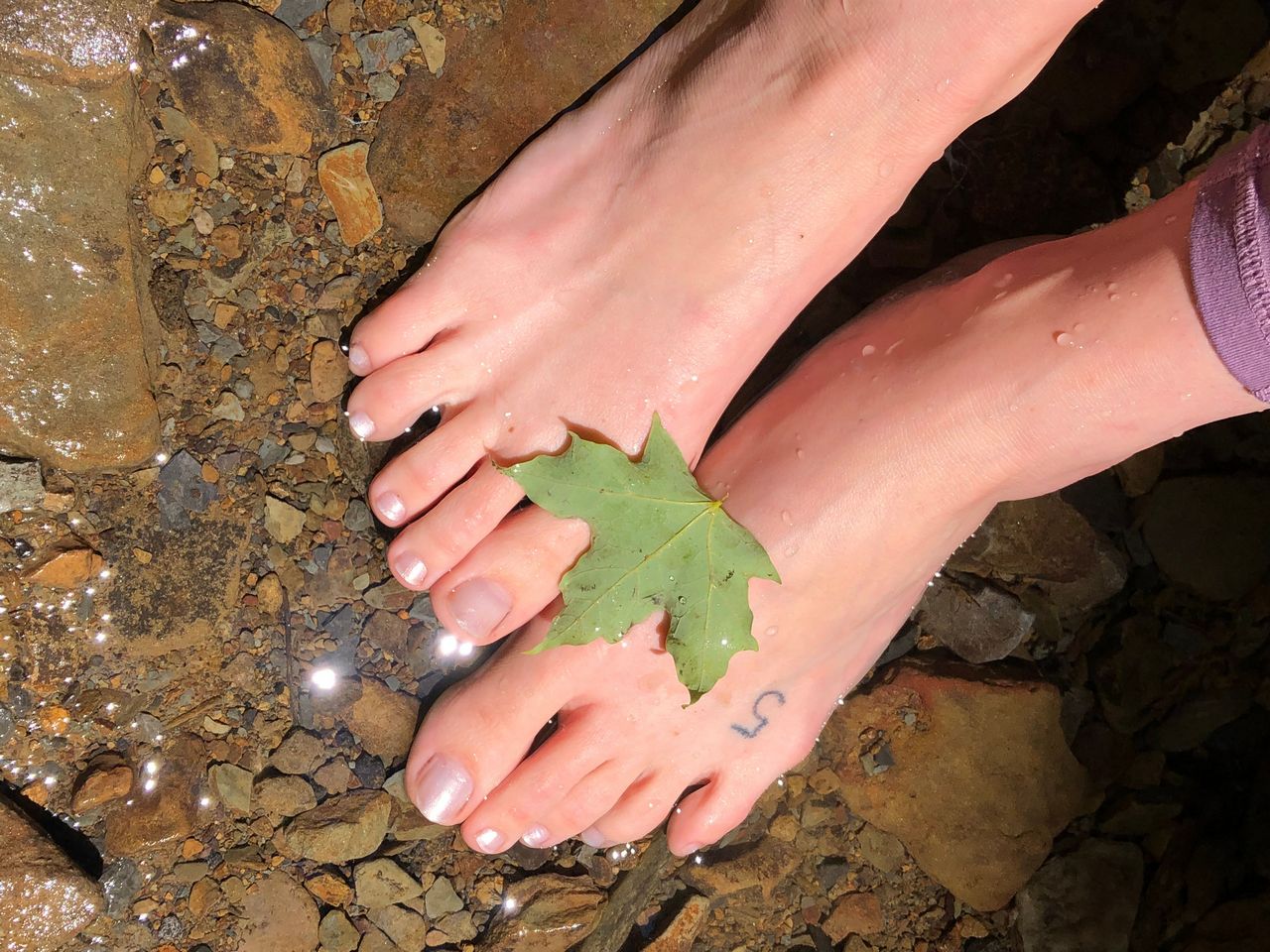 Lily Syrup River Adventure