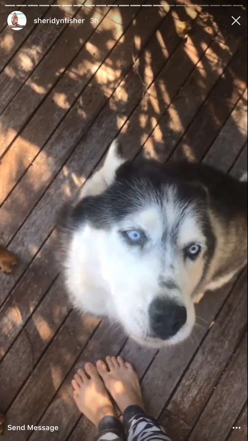 Sheridyn Fisher Feet