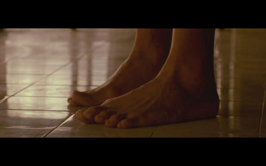 Sigourney Weaver Feet