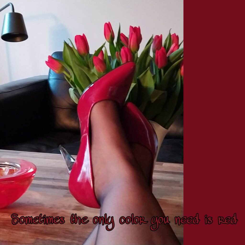 Tiptoes Tiptoes Christmas Collection (6 photos)