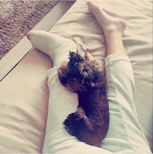 Adelina Sotnikova Feet