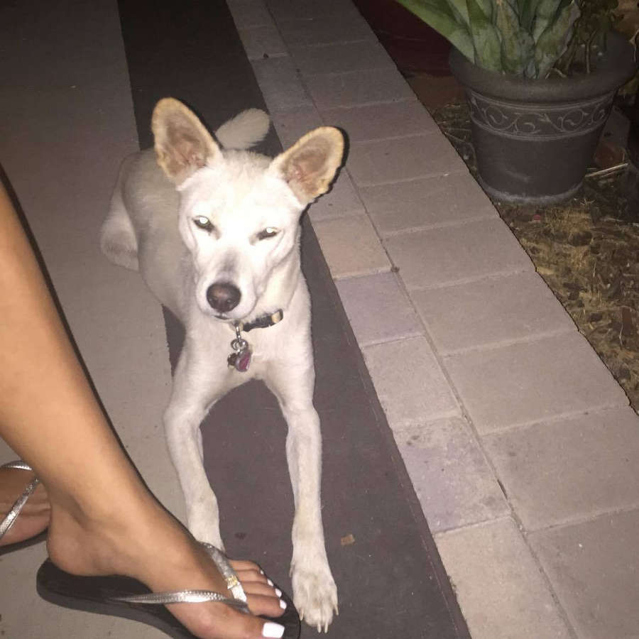 Amber Lee Ettinger Feet