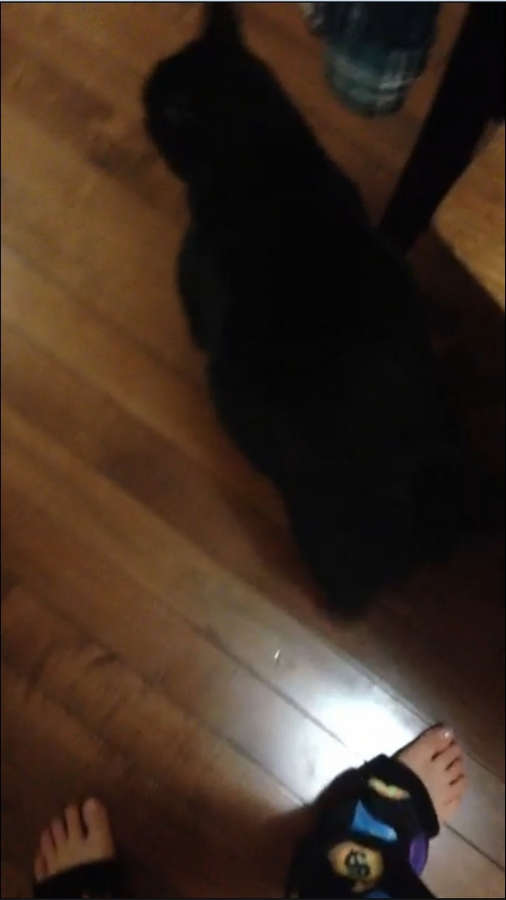 Brooke Leigh Lawson Feet