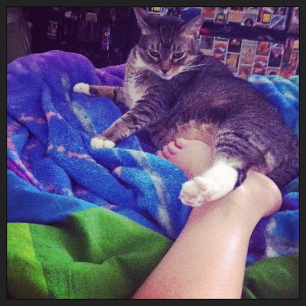 Courtney Merritt Feet