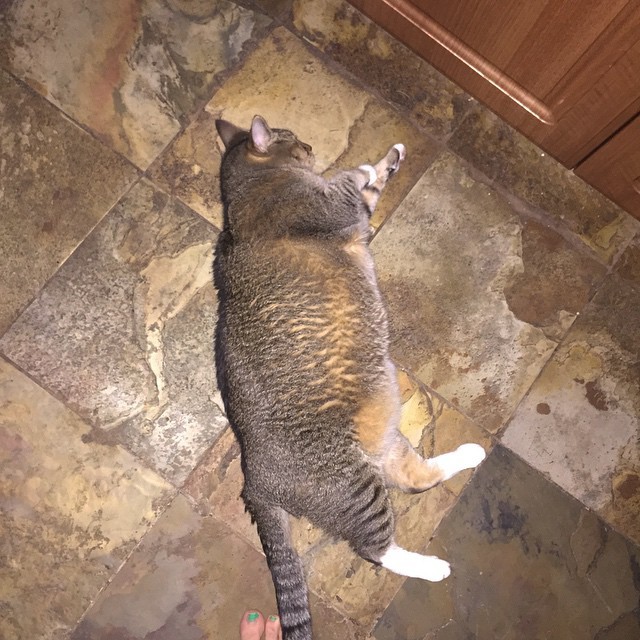 Courtney Merritt Feet