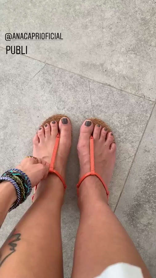 Danielle Noce Feet