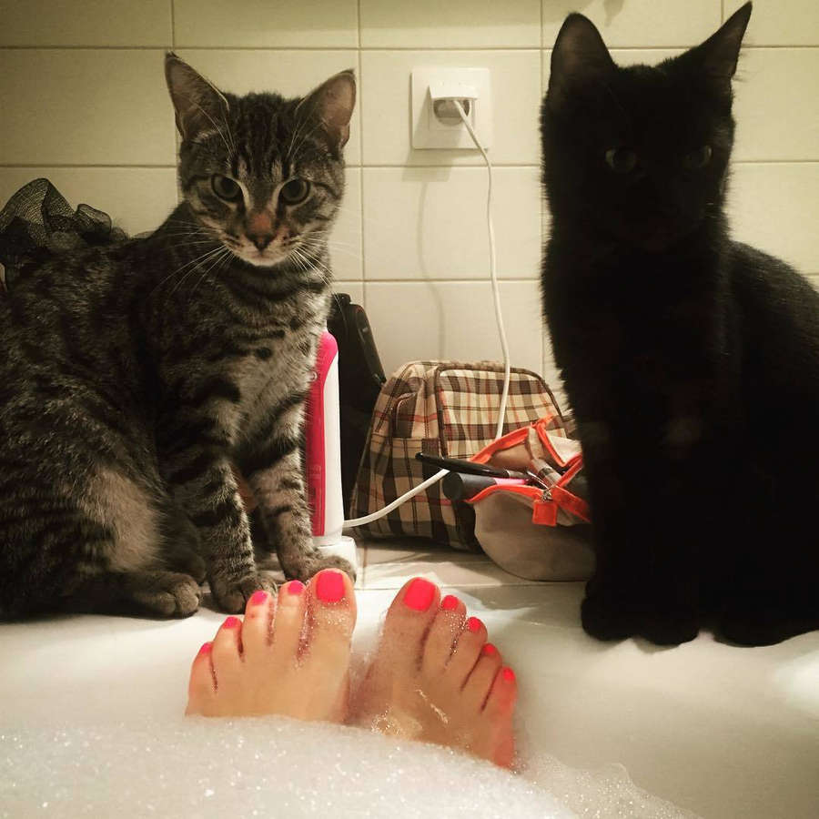 Dorota Szelagowska Feet