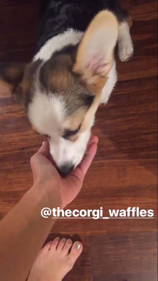 Hannah Cranston Feet