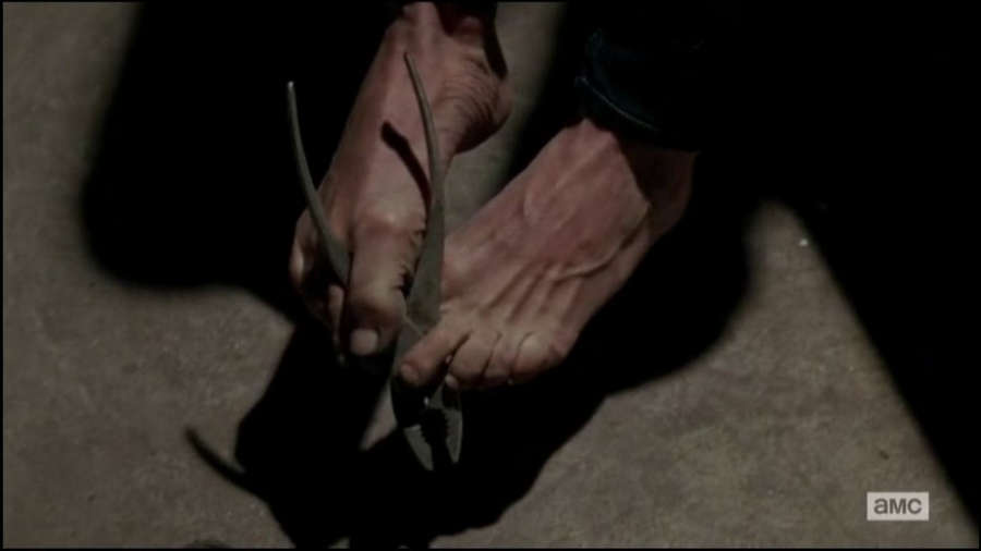 Laurie Holden Feet