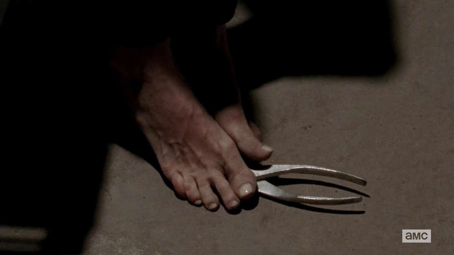 Laurie Holden Feet