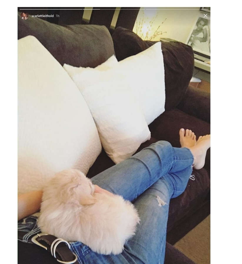 Scarlett Leithold Feet