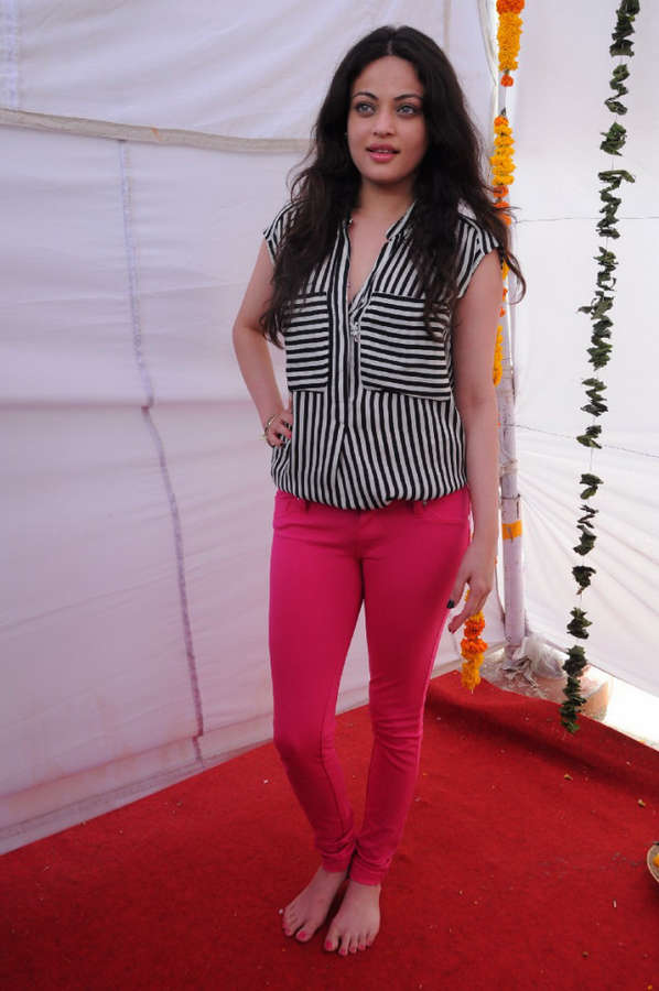 Sneha Ullal Feet