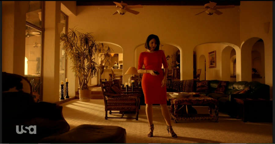 Veronica Falcon Feet