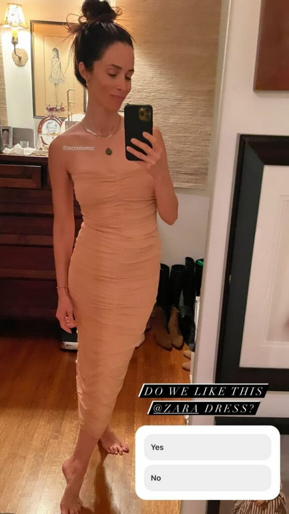 Abigail Spencer Feet (5 images)