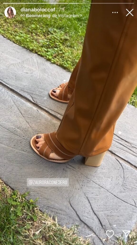 Diana Bolocco Feet (2 images)