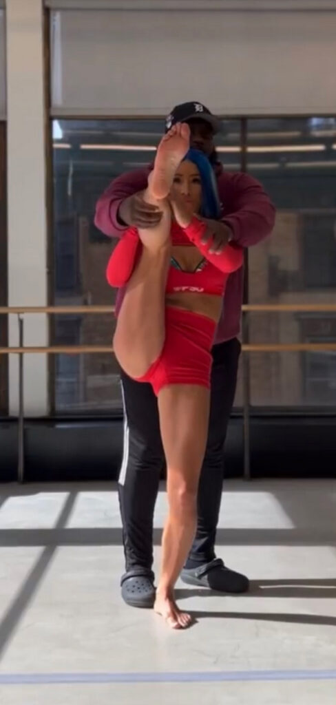 Sasha Banks Feet (9 sexy-photos)