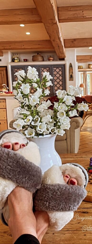 Ali Larter Feet