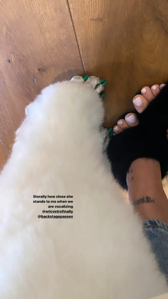 Ariana Grande Feet