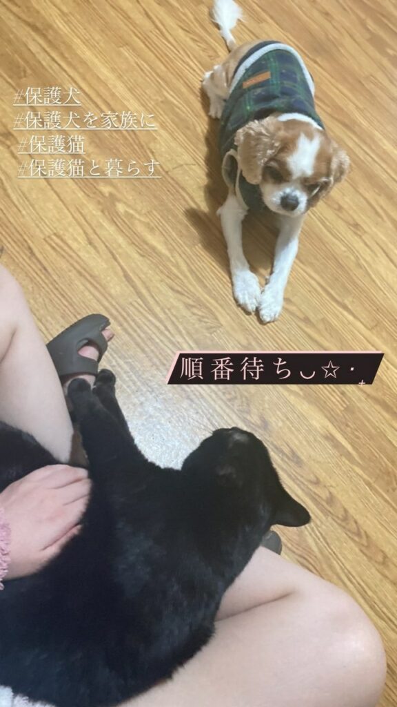 Chiaki Omigawa Feet