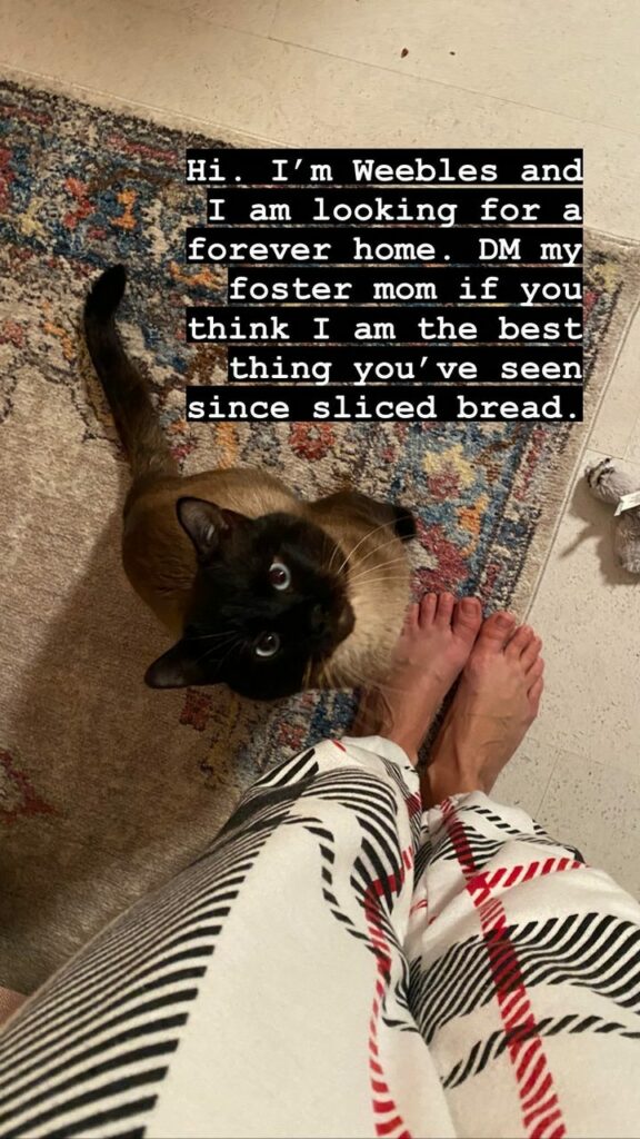Natasha Halevi Feet