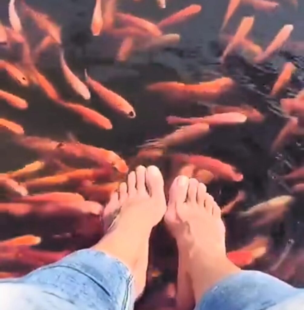Flora Saini Feet (7 photos)