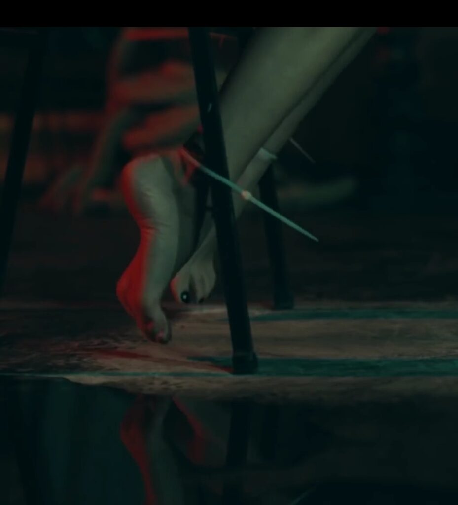 Hazal Subasi Feet (5 images)