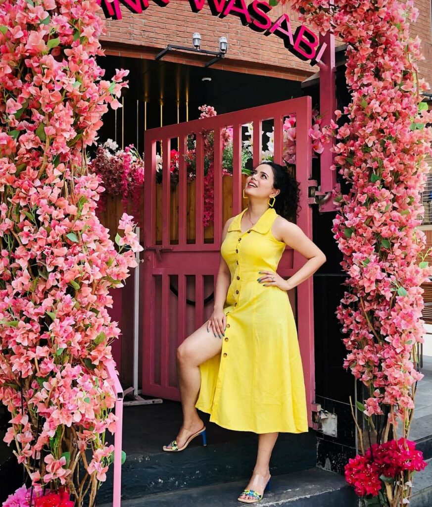 Shruti Kanwar Feet (2 photos)