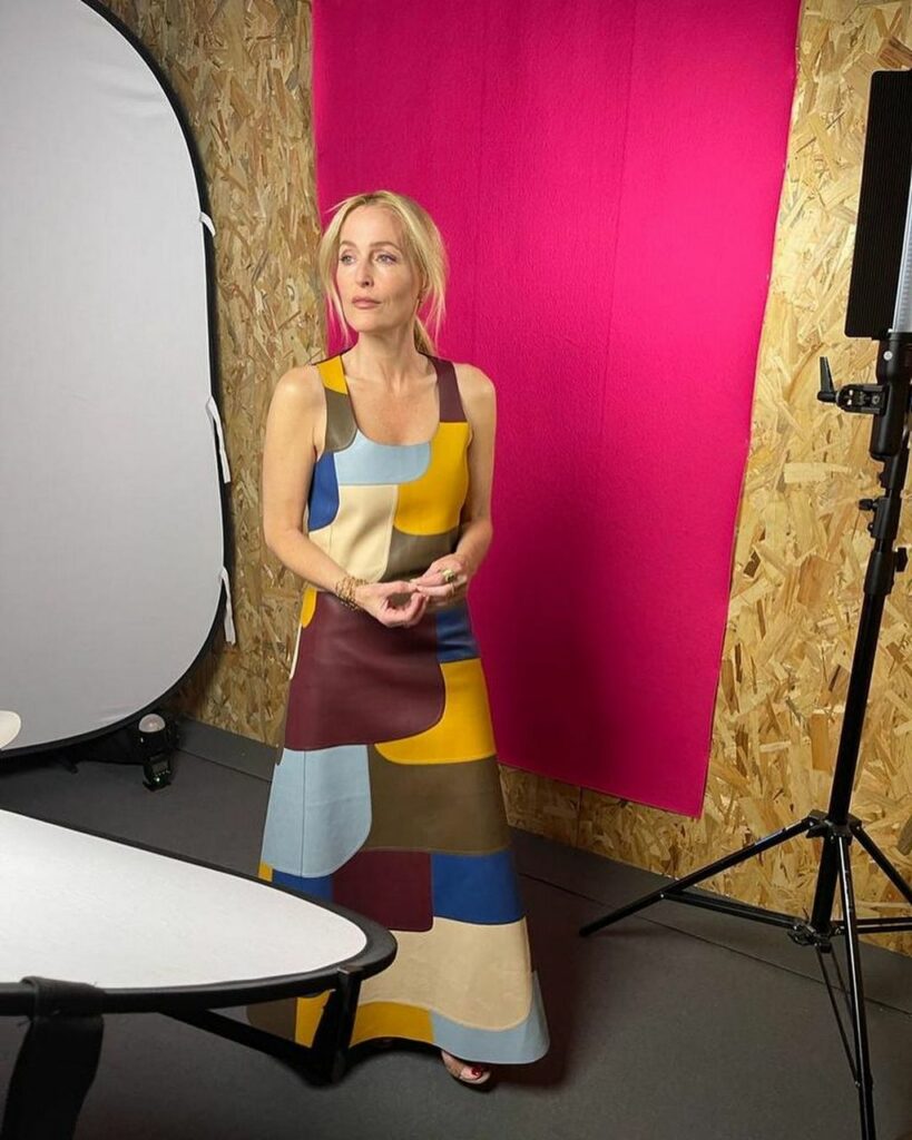 Gillian Anderson Feet (3 images)