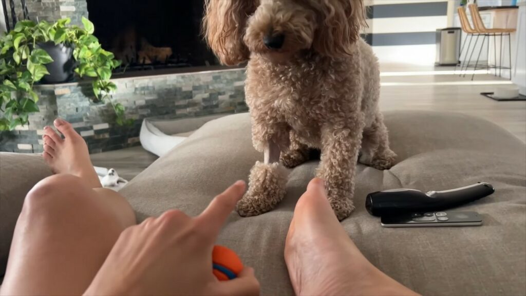 Rachel Ballinger Feet