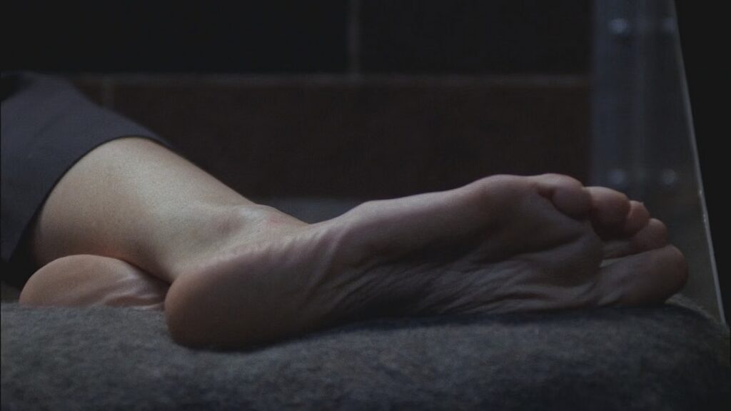 Lena Olin Feet