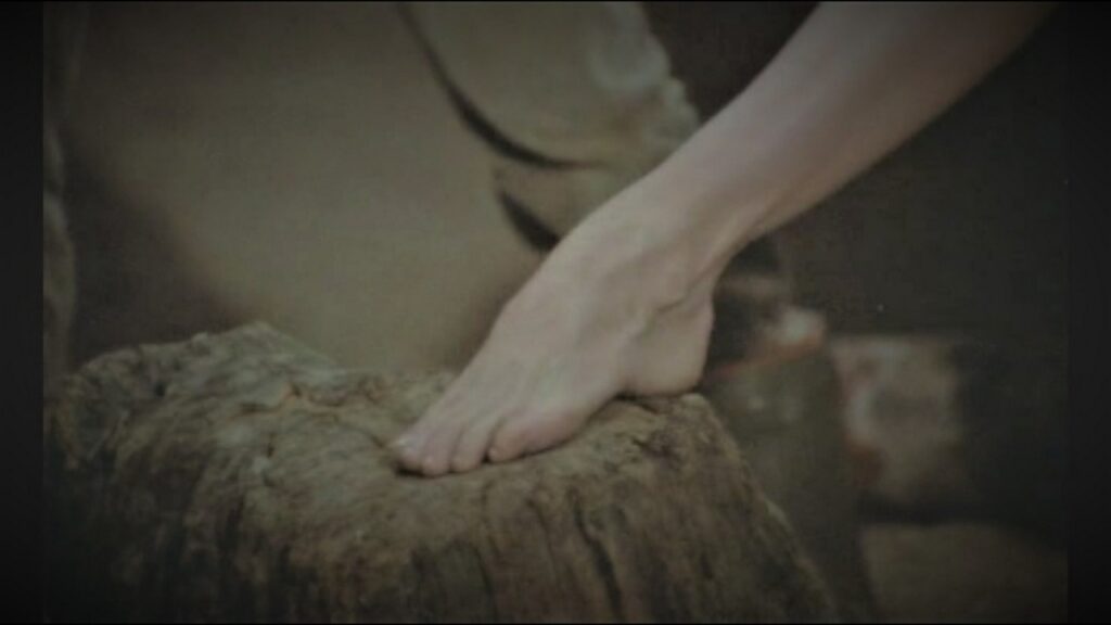 Brigitte Bardot Feet