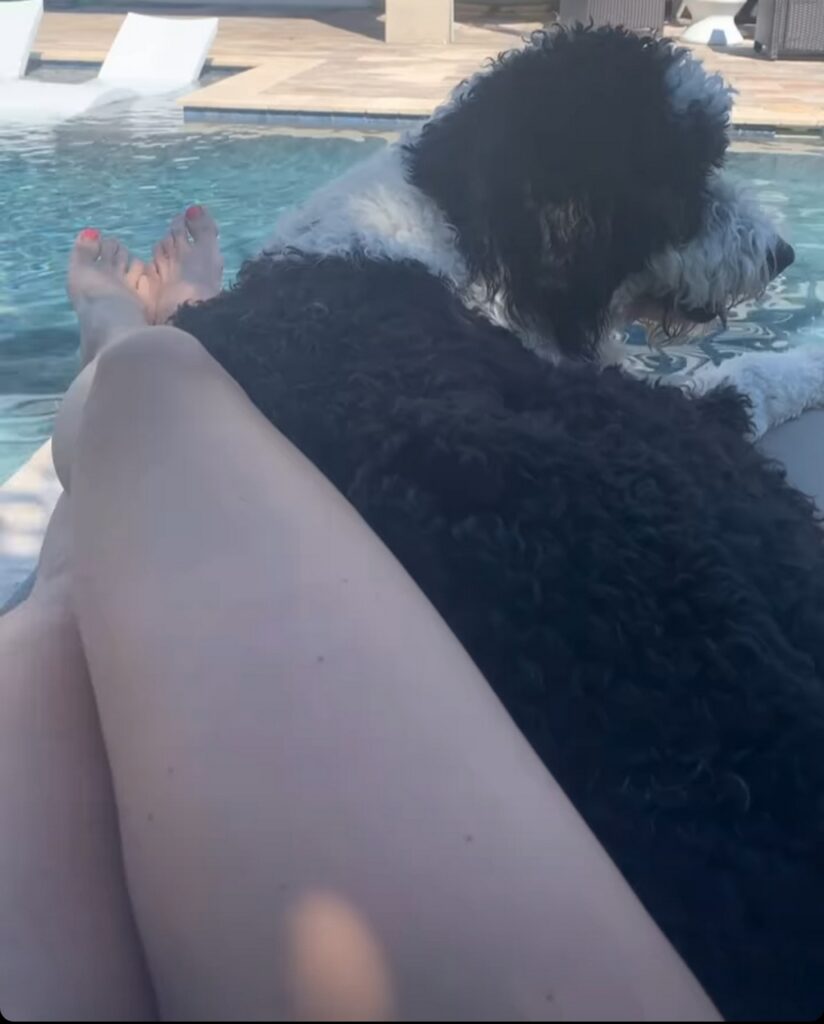 Chelsea Green Feet