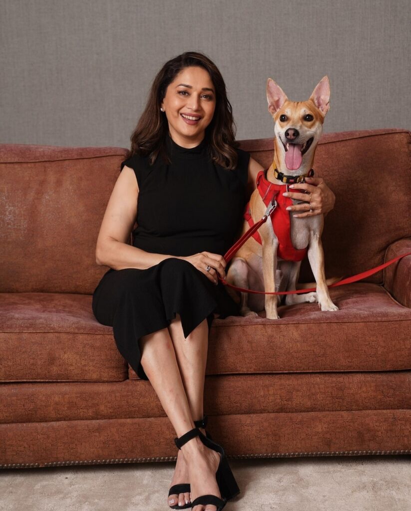 Madhuri Dixit Feet