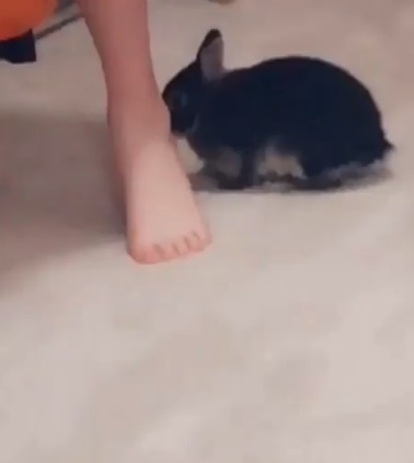 Emiru Feet