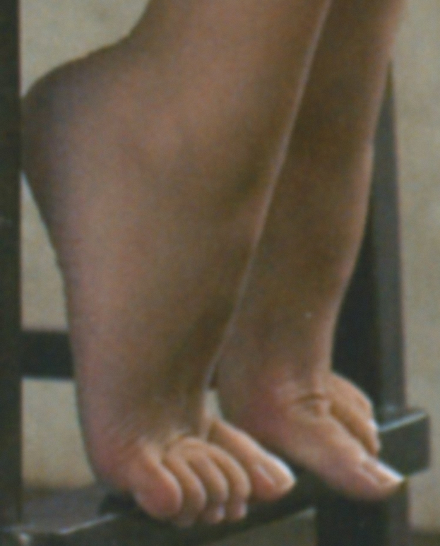 Joanna Brodzik Feet