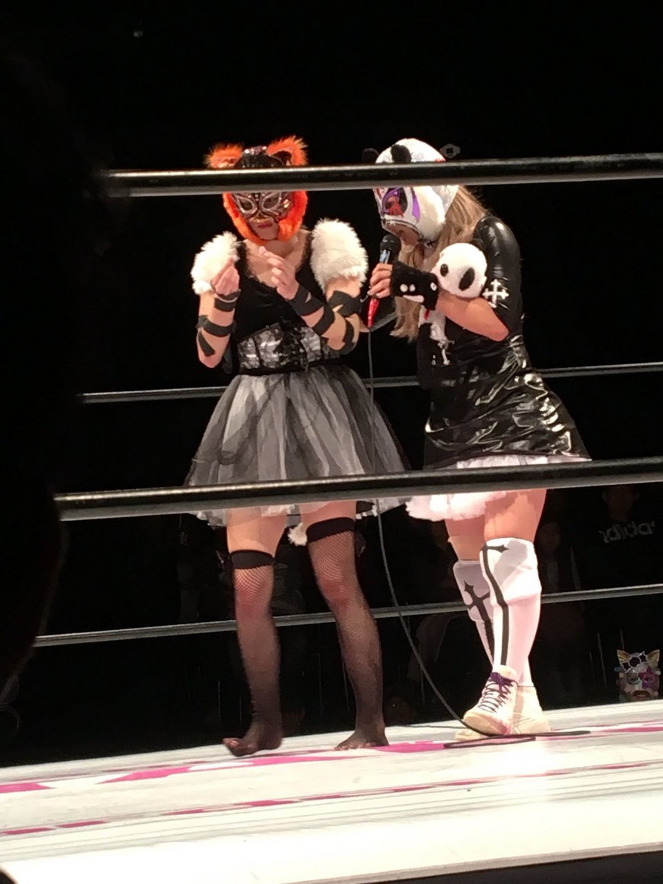 Mayu Iwatani Feet